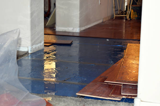 Professional Sewage Cleanup technician working in Virginia, IL